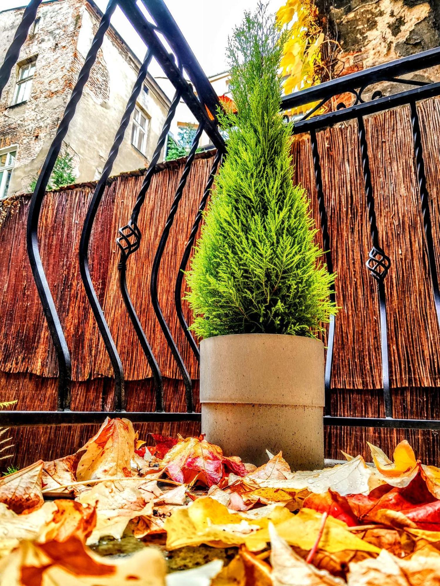 Z-1 Krakow Old Town O&P Apartfamily 外观 照片