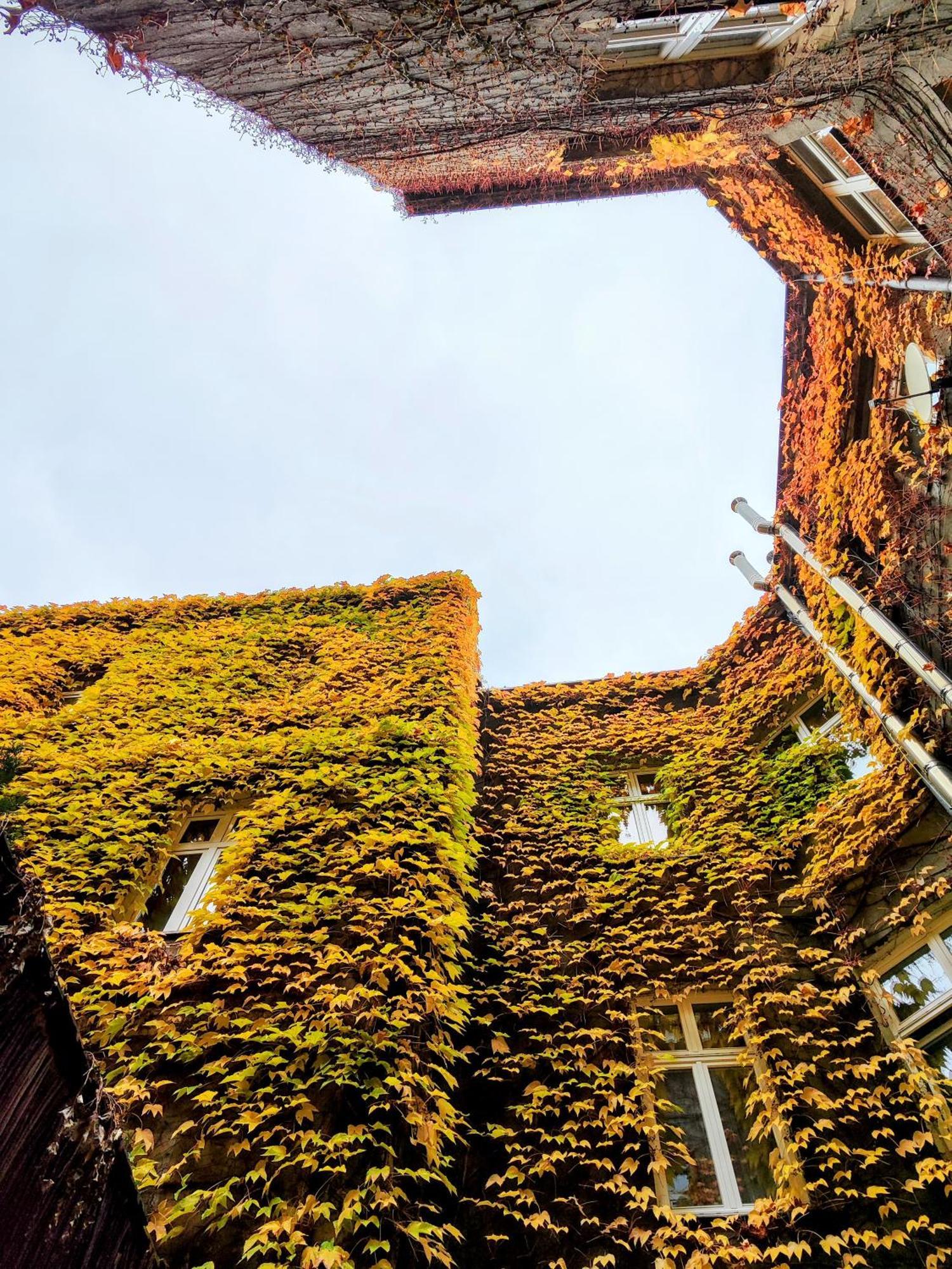 Z-1 Krakow Old Town O&P Apartfamily 外观 照片